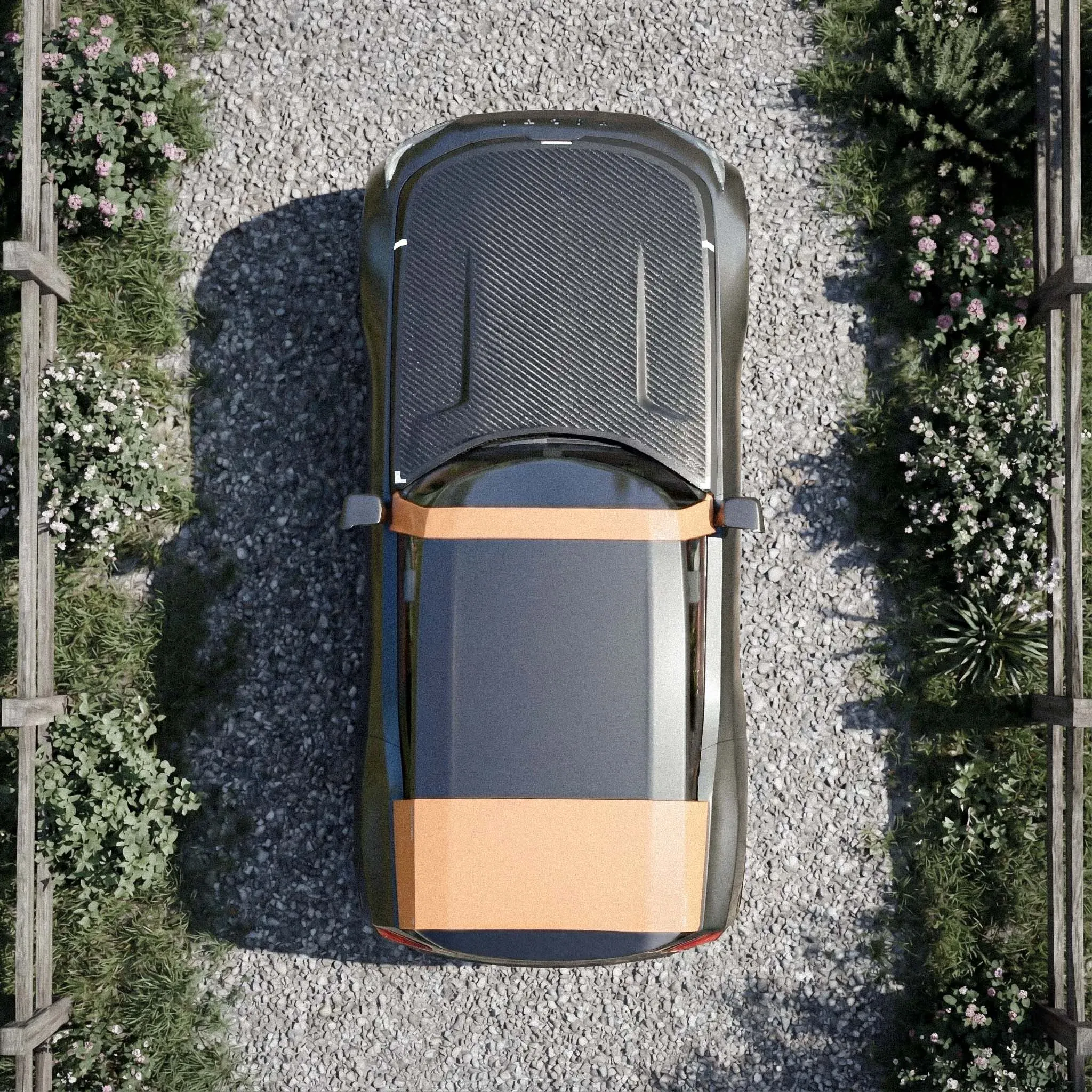 Top view