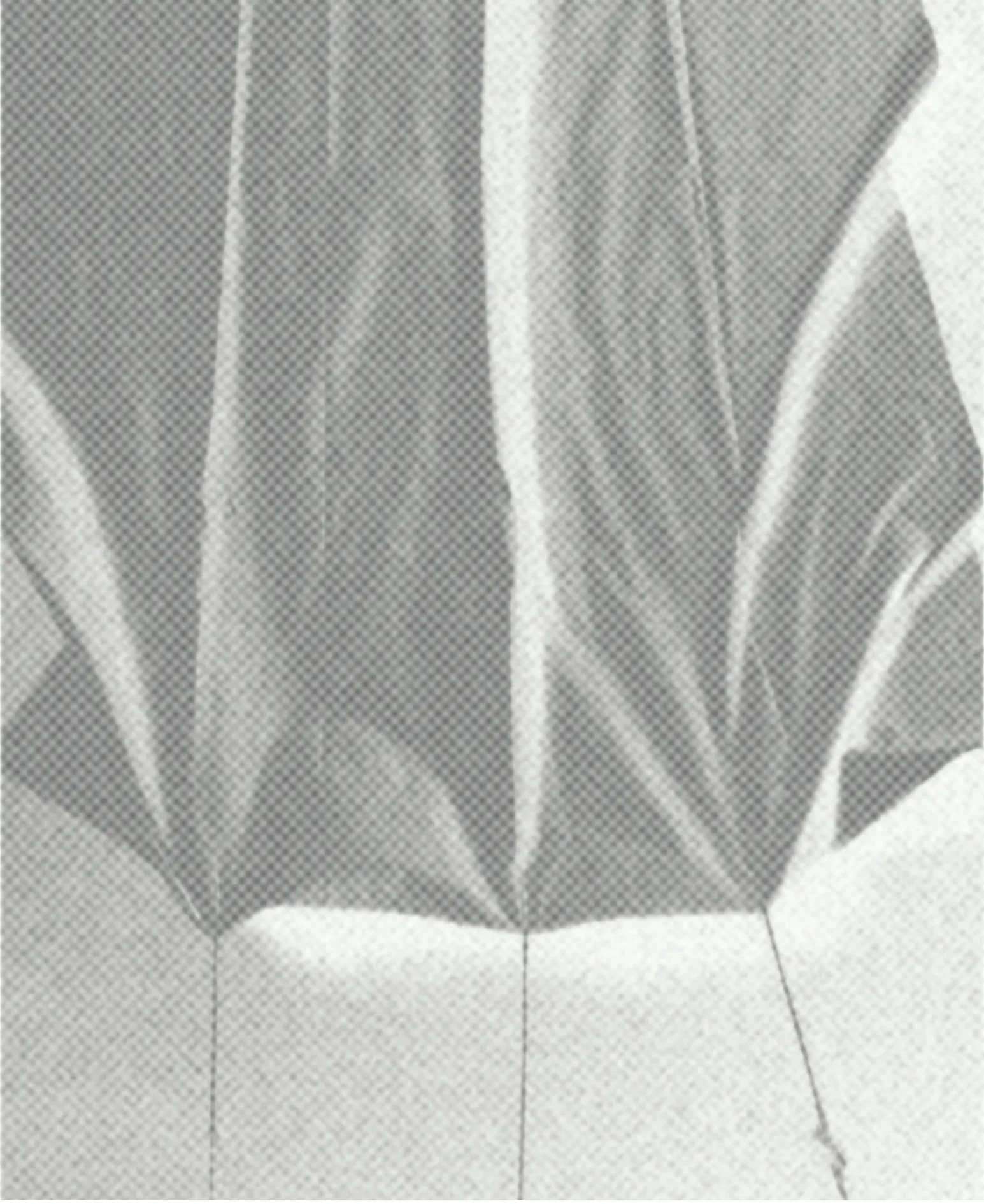 A pleated form